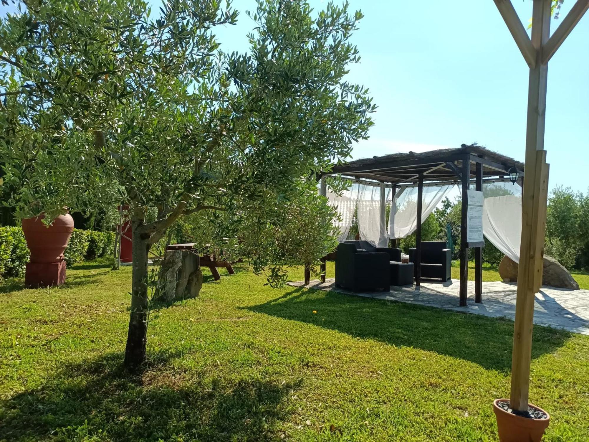 Podere Oliveta Montecatini Val di Cecina Exterior photo